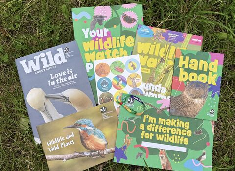 Gwent Wildlife Trust colourful Membership magazines and handbooks laid out on green grass 